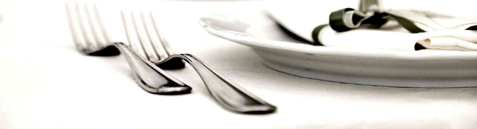 ---TAVUK ÇEŞİTLERİ---